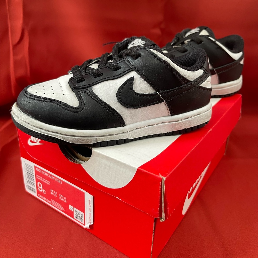 Toddler Nike dunks